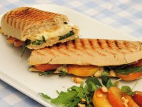 Panini grill huren